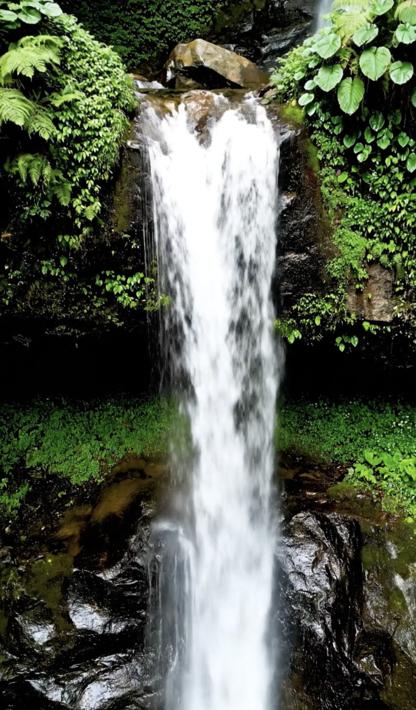 Nature video example